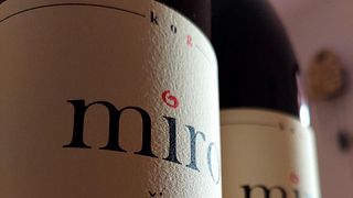 Wine tasting at MIro Vino