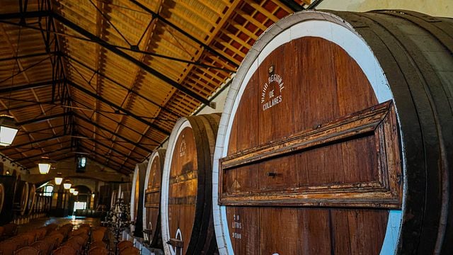 Tour privado del vino en Óbidos