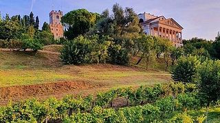 Unkonventionelle Prosecco-Verkostung mit atemberaubendem Blick auf die Weinberge