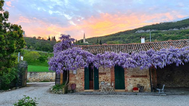 "Interlude": Visit and wine tasting in the Berici Hills