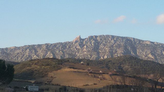 Degustazione di vini e visita al Domaine Jorel