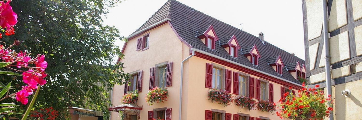 Domaine Aimé Stentz 1 Wt2025