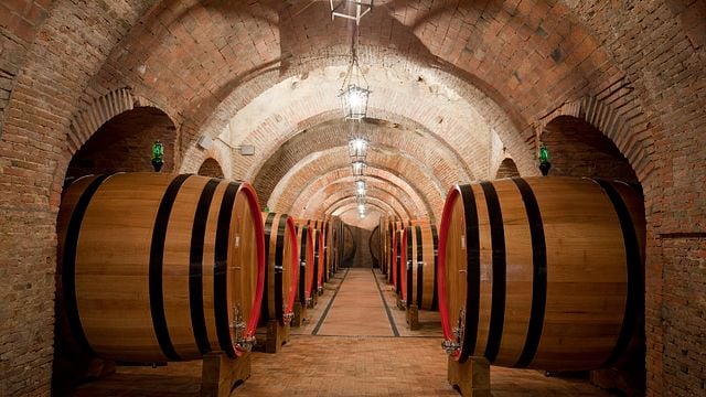 Pranzo leggero | Degustazione di vini e tour alla Fattoria Della Talosa