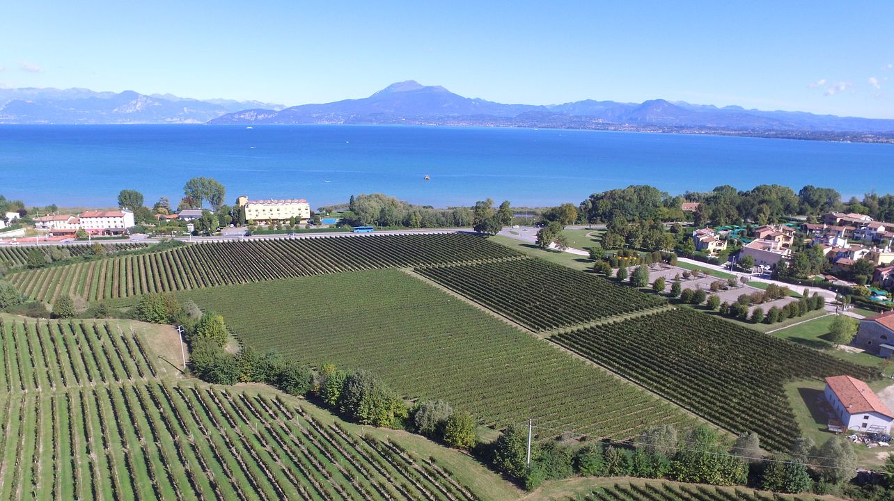 Corte Sermana Veneto Lugana Winery