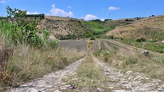 Vigne Mastrodomenico