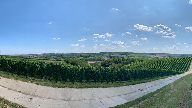Szeleshát Estate Winery