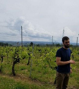 Fattoria Di Montemorli