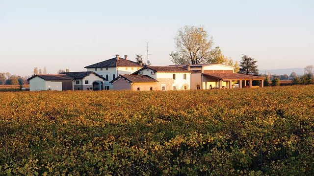 Medici Ermete & Figli