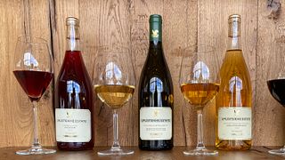 Weinprobe auf dem Weingut Uplistsikhe