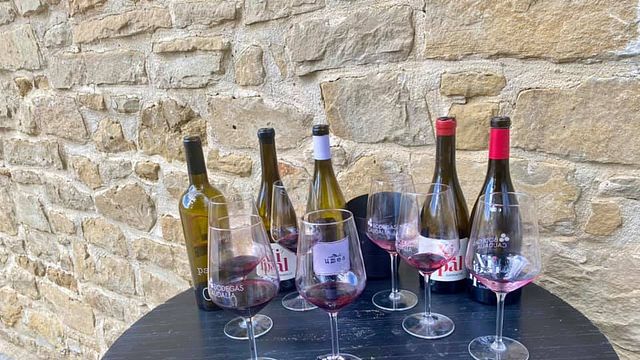 Visita Guiada às Bodegas Caudalia