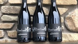 Degustação de vinhos e passeio em Point Of The Bluff Vineyards