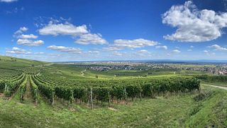 Wunsch & Mann Winery
