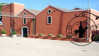 Degustação de vinhos e tour em Rivera