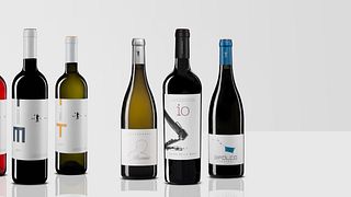 Visite et dégustation de vins chez Nic Tartaglia