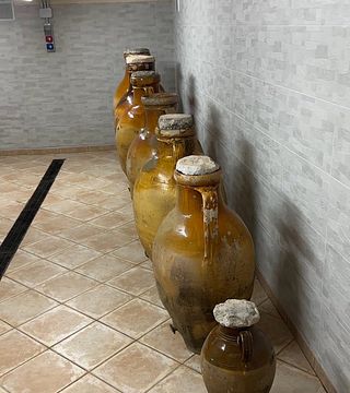 Tour del vino