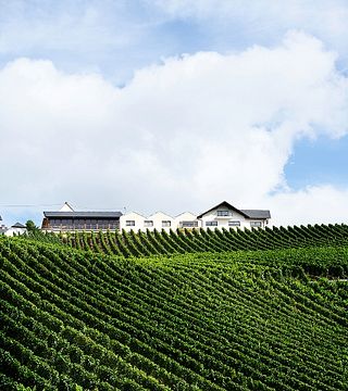 Degustazione di vini e visita alla Weingut Karl Veit