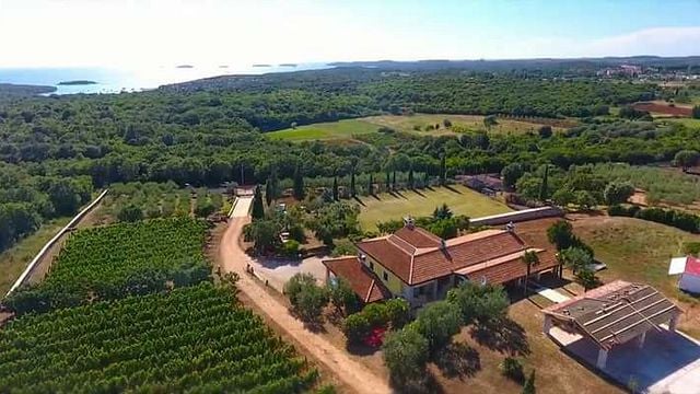 Collis Deluxe Weinprobe und Tour