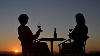 Besuch und Weinprobe Sunset Celler Mas Geli