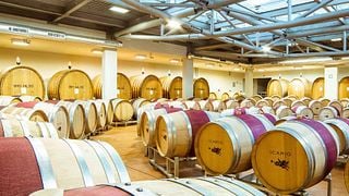 Dégustation et visite des vins Platinum à la cave Icario