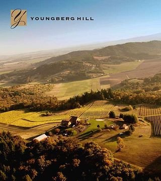 Cata de vinos y visita guiada populares en Youngberg Hill