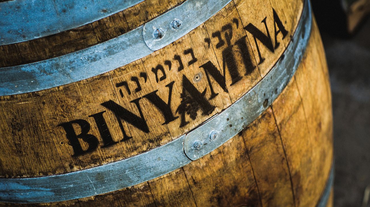 Tour e degustazione di vini | “90 anni di aromi inebrianti” | Azienda vinicola Binyamina
