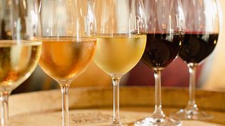Peter Falke Wines