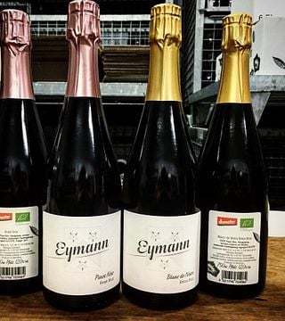 Degustação de vinhos e tour em Weingut Eymann
