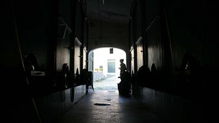 Explore Tuscan Wines & Olive Oils at the Estate