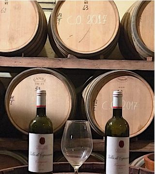Excursion privée d'une demi-journée à Carmignano au départ de Florence : le premier Cabernet Sauvignon de Toscane