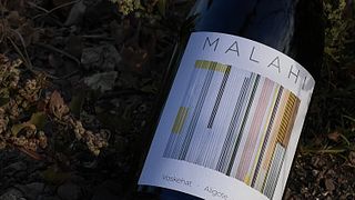 Forfait dégustation de vins Maran 1