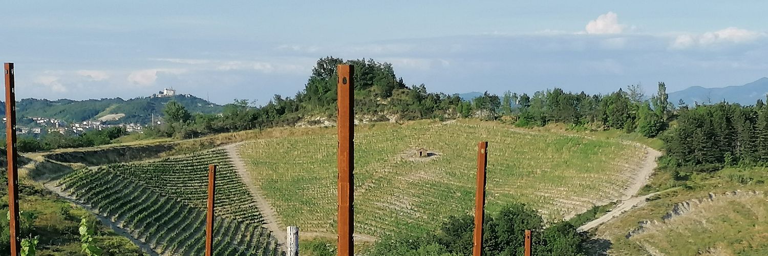 Vigna Nuova 2