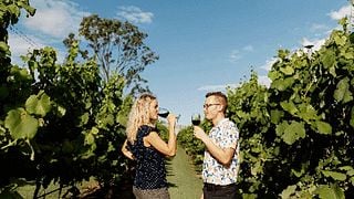Hop on Hop Off Bus - Tamborine Mountain