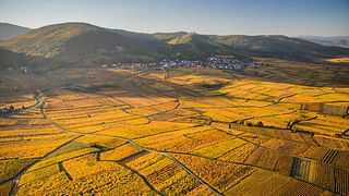 Kuentz-Bas Winery