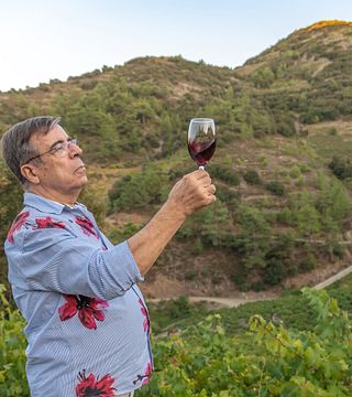 Dégustation de vins et visite de la cave Santa Irene