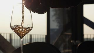 Elisir Provsmakning + Parning | Vigneti Vallorani