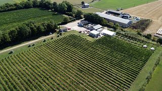 Yorkshire Heart Wine Estate