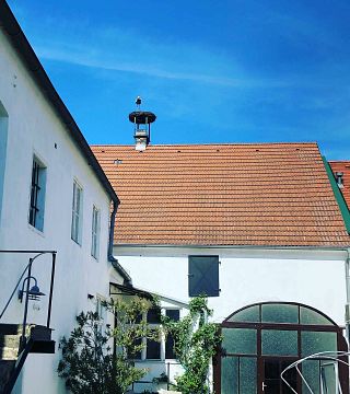 Besichtigung und Verkostung im Bio-Demeter Weingut-Birgit