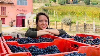 Experiência Classici Dell'Albese em Poderi Moretti Di Moretti Francesco