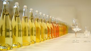 Degustação de champanhe e tour na Champagne Delong Marlene