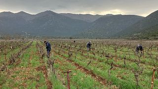 Domaine Nikolaou