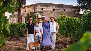 Wein- und Olivenölverkostung und Führung im Tenute Pacelli