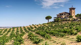 Bodega Estancia Piedra