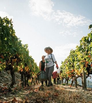 Degustação de vinhos e visita à Quinta do Panascal