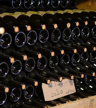 Degustazione/Tour e Cena presso la Casa dei Vini Alluria