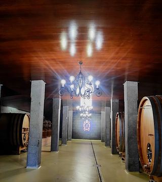 Albariño de luxeVisite gastronomique et vinicole en Galice