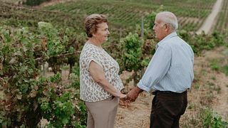 Spazieren Sie durch die Weinberge von Quinta do Sampayo
