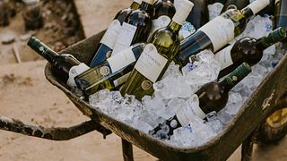Vinupplevelse på Klein Roosboom Boutique Winery