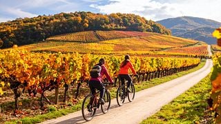 Bordeaux E-Bike & Vineyard Wine Journey