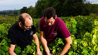 Rhône Gourmet Cellar Escape