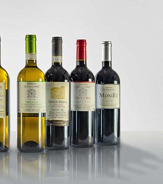 San Gimignano: Upptäck det passionerat tillverkade, internationellt prisbelönta vinet på Tenuta le Calcinaie 